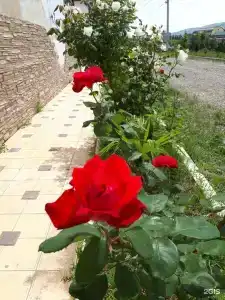 Коттеджи на Рублевке - 6