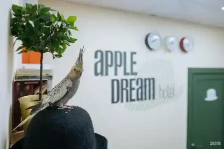 Apple Dream - 46
