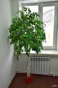 Лесотель - 16