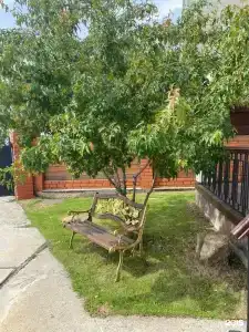 У Озера - 69