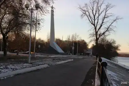 Коралл - 31