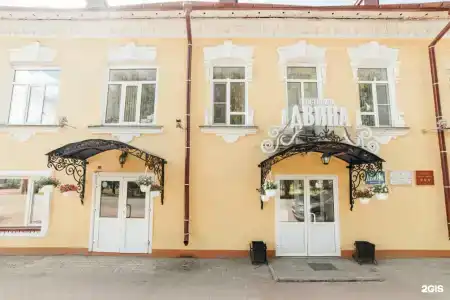 Двина - 46