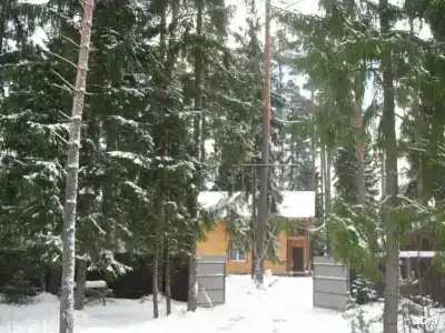 Вырицкие Тарханы - 35