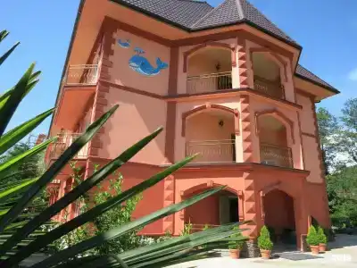 Добрый кит - 0