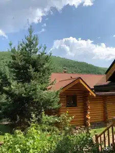 Альпийский - 22