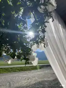Вояж Туу - 2