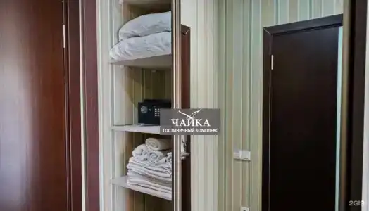 Агава - 40