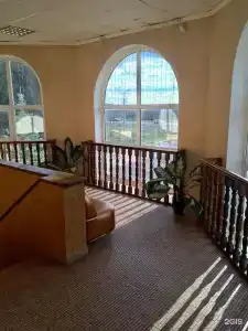 Три Льва - 14