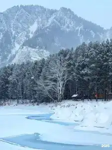 Сила Алтая - 19