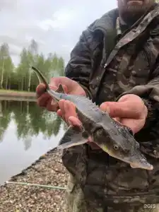 База отдыха Sherwood Park - 90