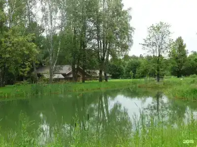 Дубки - 32