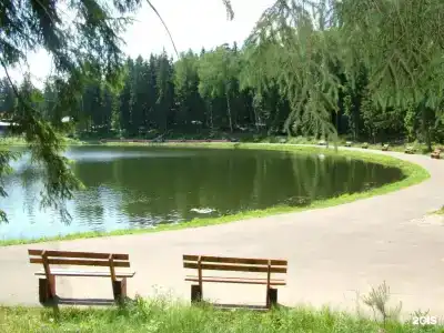 Царский лес - 26