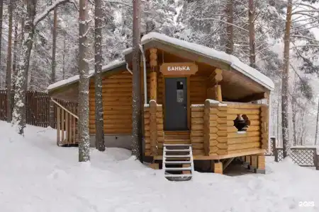 Шишки - 53
