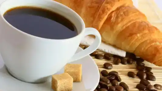 Соната у Дворцовой площади - 59