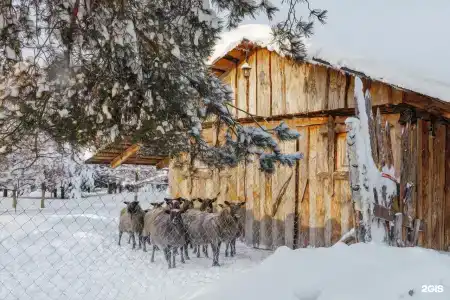 Усадьба Долгорукий - 60