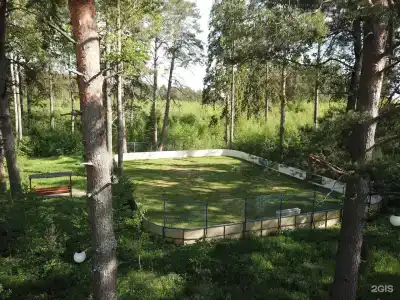 Ефимов бор - 54