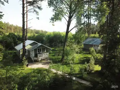 Ефимов бор - 19