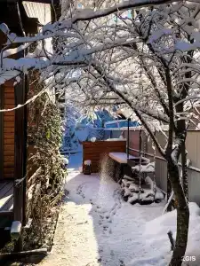 Зелёный Уголок - 20