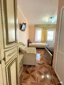 Киви и Цитрус - 28