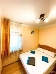 Киви и Цитрус - 57