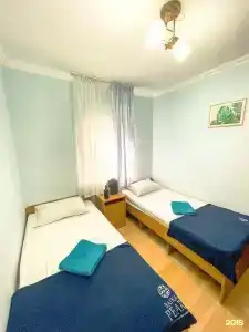 Киви и Цитрус - 63