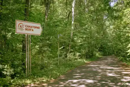 Волга - 49