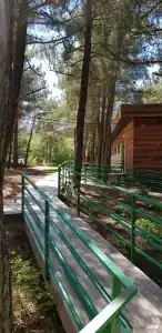 Комплекс Сосновый - 2