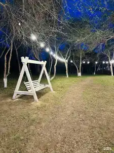 Мечтатели - 11