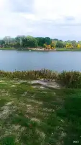 Два белых льва на Дону - 12