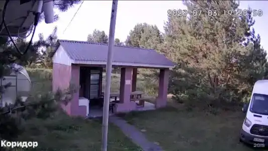 Стриж - 15