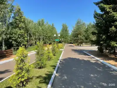 Ливадия-Татарстан - 31