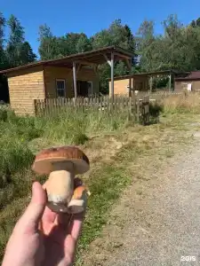 Ладога рядом - 68