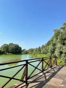 РИВЬЕРА - 21