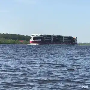 Сосны и река Волга - 25