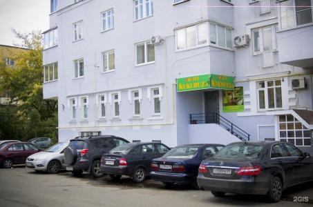 Кукуруза - 41