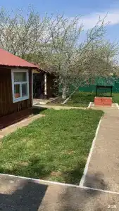 Тихий дворик - 6