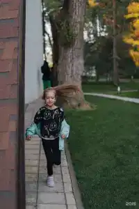 Андреефф - 34