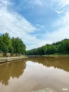 Венский Лес - 8