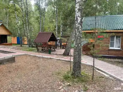 Белая сова - 50