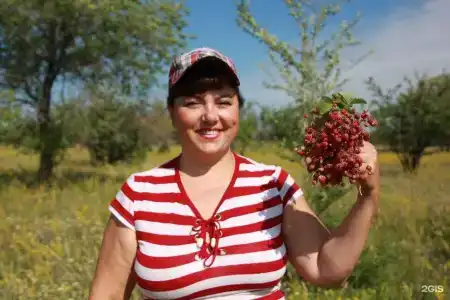 Крылатый - 56