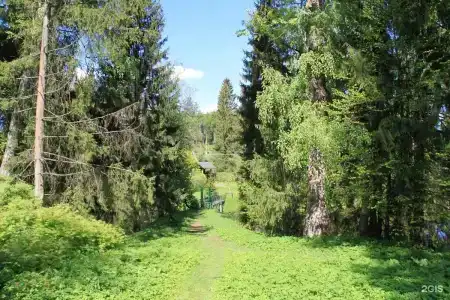 Актер - 5