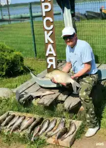 Свирская - 87