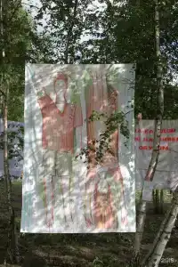 Белые Аллеи - 67