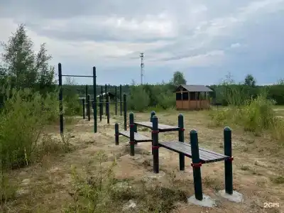 Литвиново - 118