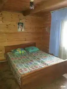 Сосновый бор - 1