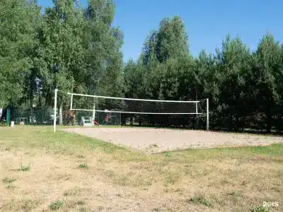 Веточка - 95