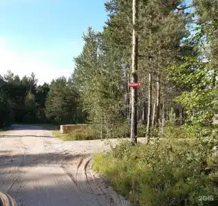 Алавойне - 99