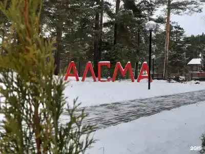 СПА-отель Алсма - 92