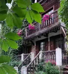 Dream Village Oksino - 15