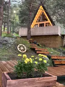 Kogutai Wood Cabin - 39